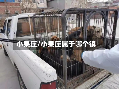 小果庄/小果庄属于哪个镇-第2张图片