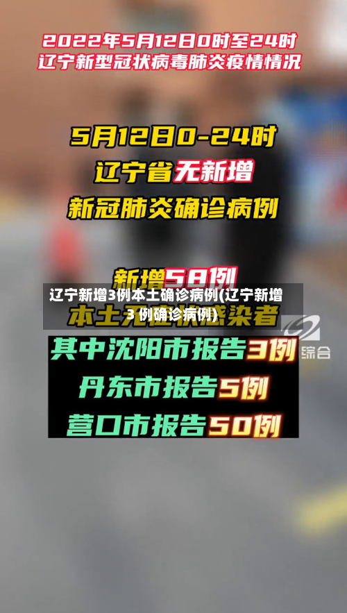 辽宁新增3例本土确诊病例(辽宁新增 3 例确诊病例)