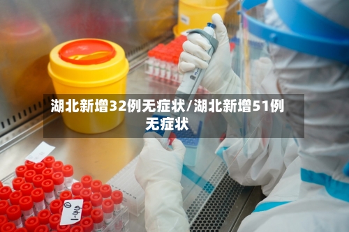湖北新增32例无症状/湖北新增51例无症状-第3张图片