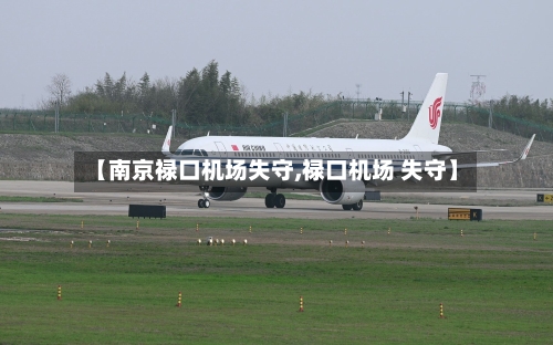 【南京禄口机场失守,禄口机场 失守】