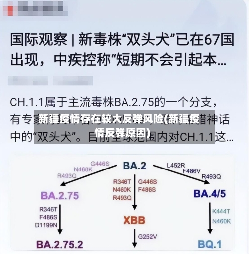 新疆疫情存在较大反弹风险(新疆疫情反弹原因)-第2张图片