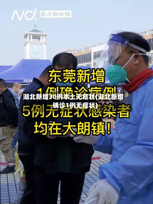 湖北新增30例本土无症状(湖北新增确诊1例无症状)-第2张图片