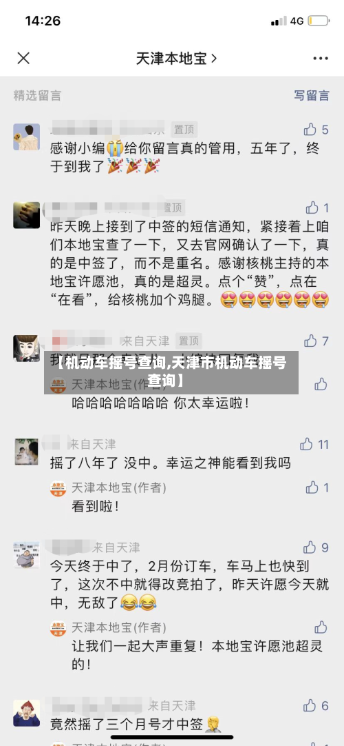 【机动车摇号查询,天津市机动车摇号查询】