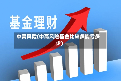 中高风险(中高风险基金比较多能亏多少)