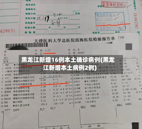 黑龙江新增16例本土确诊病例(黑龙江新增本土病例2例)-第3张图片