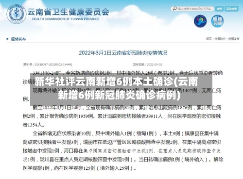 新华社评云南新增6例本土确诊(云南新增6例新冠肺炎确诊病例)-第3张图片