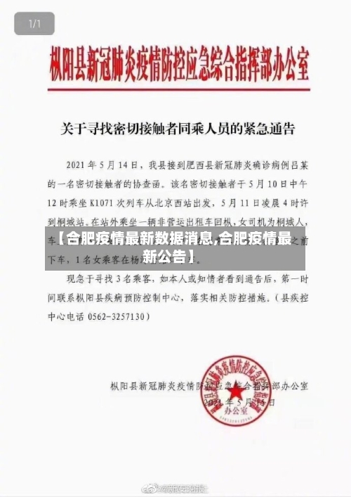 【合肥疫情最新数据消息,合肥疫情最新公告】-第3张图片