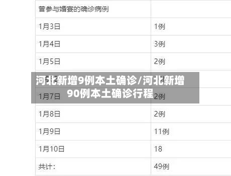 河北新增9例本土确诊/河北新增90例本土确诊行程