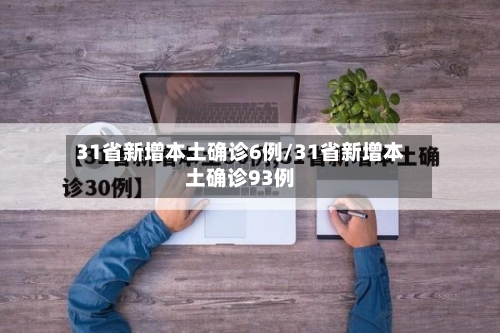31省新增本土确诊6例/31省新增本土确诊93例