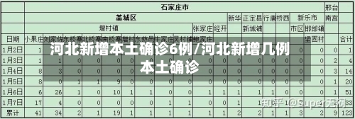 河北新增本土确诊6例/河北新增几例本土确诊