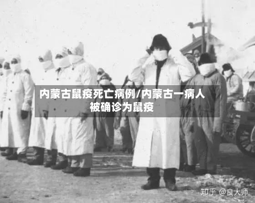 内蒙古鼠疫死亡病例/内蒙古一病人被确诊为鼠疫