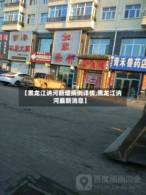 【黑龙江讷河新增病例详情,黑龙江讷河最新消息】-第2张图片