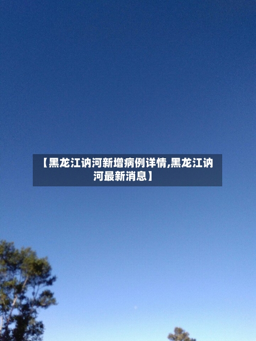 【黑龙江讷河新增病例详情,黑龙江讷河最新消息】-第3张图片