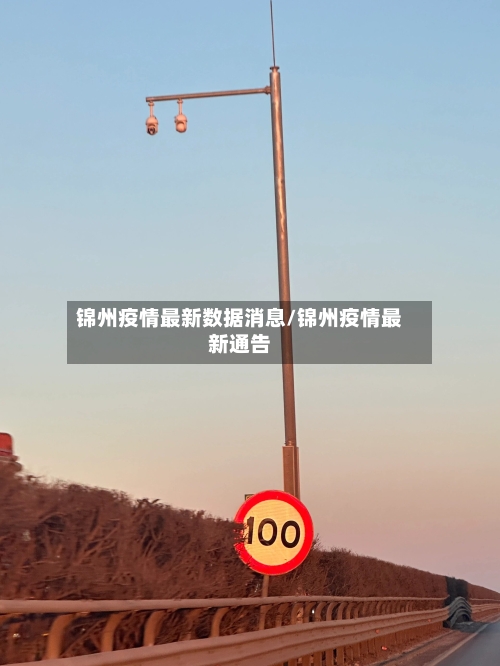 锦州疫情最新数据消息/锦州疫情最新通告-第3张图片