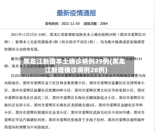 黑龙江新增本土确诊病例29例(黑龙江新增确诊病例28例)-第2张图片