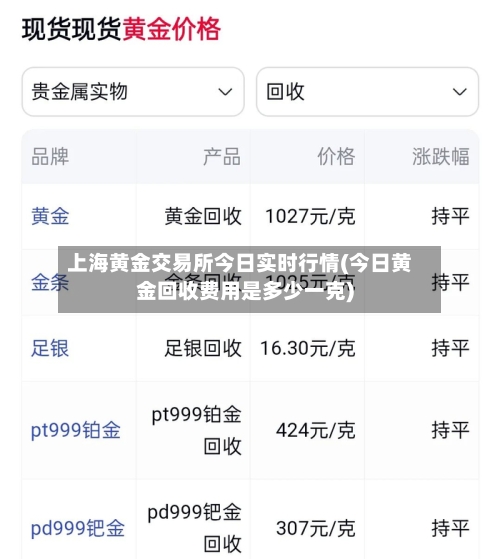 上海黄金交易所今日实时行情(今日黄金回收费用是多少一克)