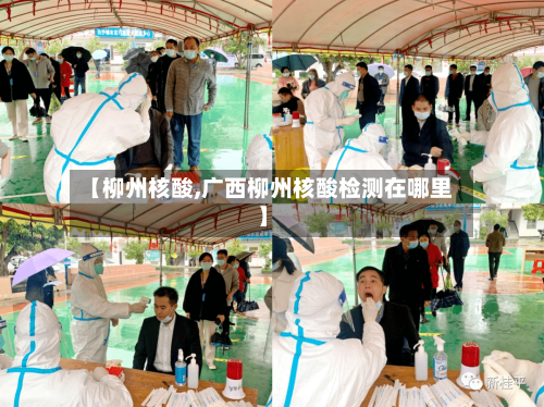 【柳州核酸,广西柳州核酸检测在哪里】-第2张图片