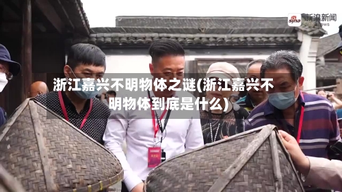 浙江嘉兴不明物体之谜(浙江嘉兴不明物体到底是什么)-第2张图片