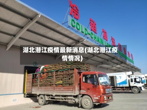湖北潜江疫情最新消息(湖北潜江疫情情况)-第2张图片