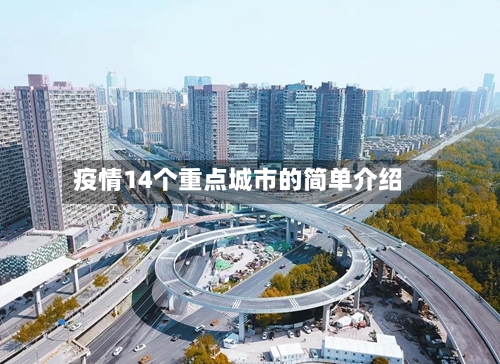 疫情14个重点城市的简单介绍