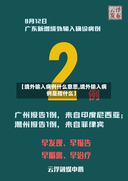 【境外输入病例什么意思,境外输入病例是指什么】-第3张图片