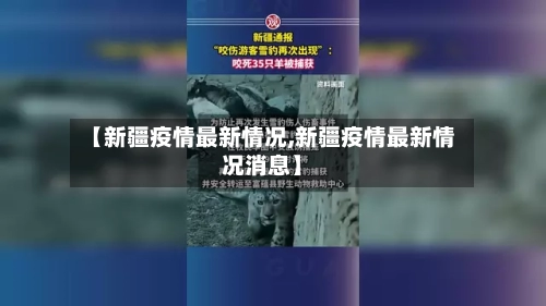 【新疆疫情最新情况,新疆疫情最新情况消息】-第2张图片