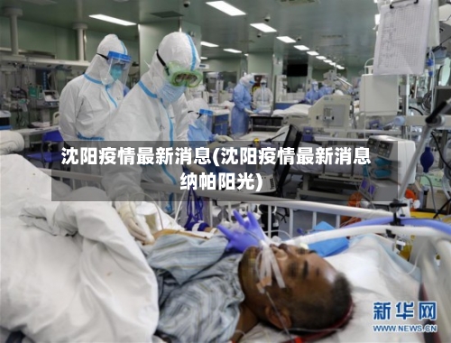 沈阳疫情最新消息(沈阳疫情最新消息纳帕阳光)
