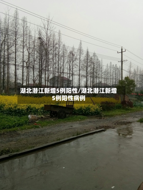 湖北潜江新增5例阳性/湖北潜江新增5例阳性病例