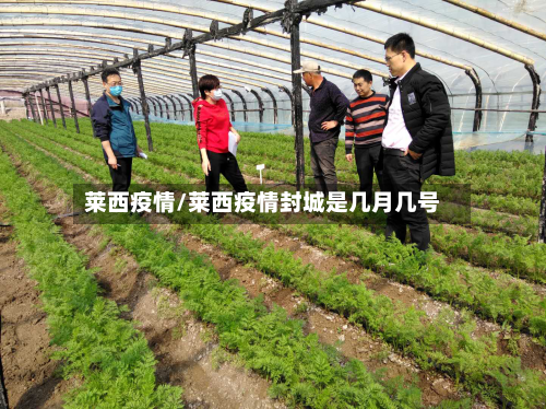 莱西疫情/莱西疫情封城是几月几号-第2张图片