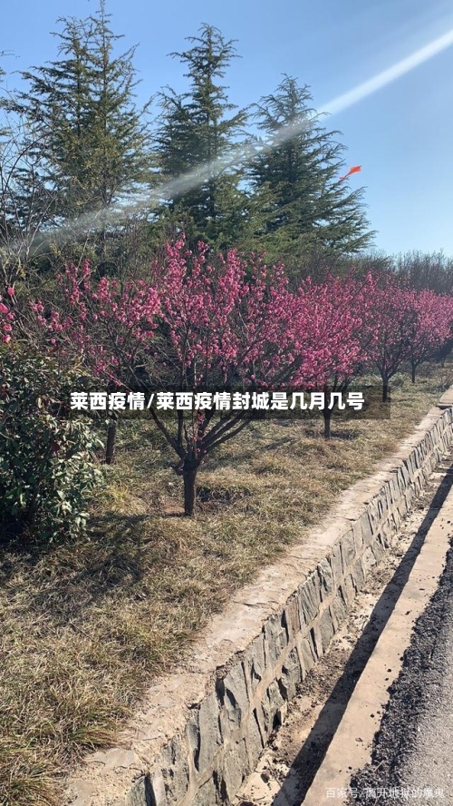 莱西疫情/莱西疫情封城是几月几号