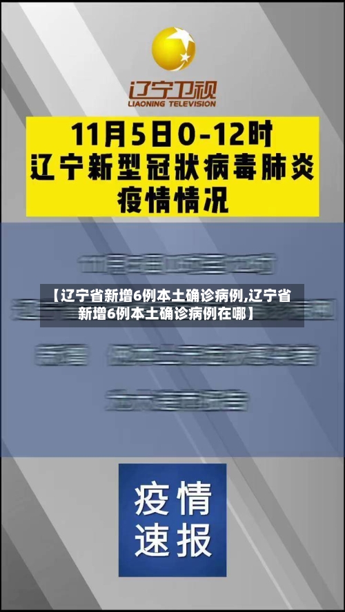 【辽宁省新增6例本土确诊病例,辽宁省新增6例本土确诊病例在哪】-第2张图片
