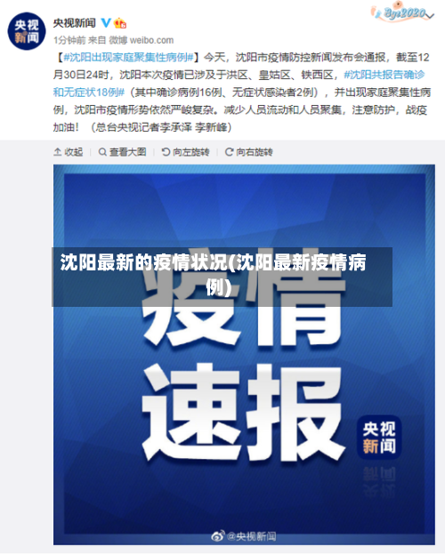 沈阳最新的疫情状况(沈阳最新疫情病例)-第2张图片