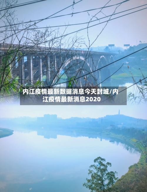 内江疫情最新数据消息今天封城/内江疫情最新消息2020-第2张图片