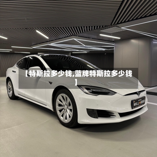【特斯拉多少钱,蓝牌特斯拉多少钱】-第2张图片