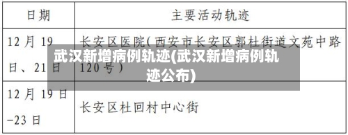 武汉新增病例轨迹(武汉新增病例轨迹公布)