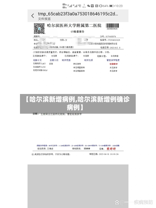 【哈尔滨新增病例,哈尔滨新增例确诊病例】