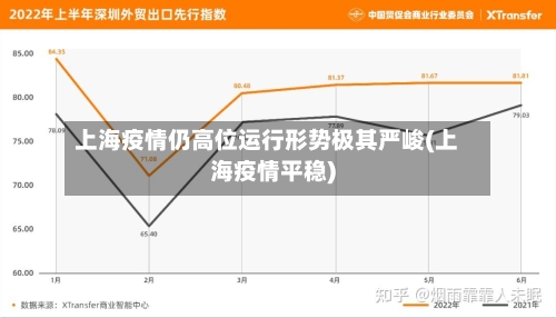 上海疫情仍高位运行形势极其严峻(上海疫情平稳)-第2张图片