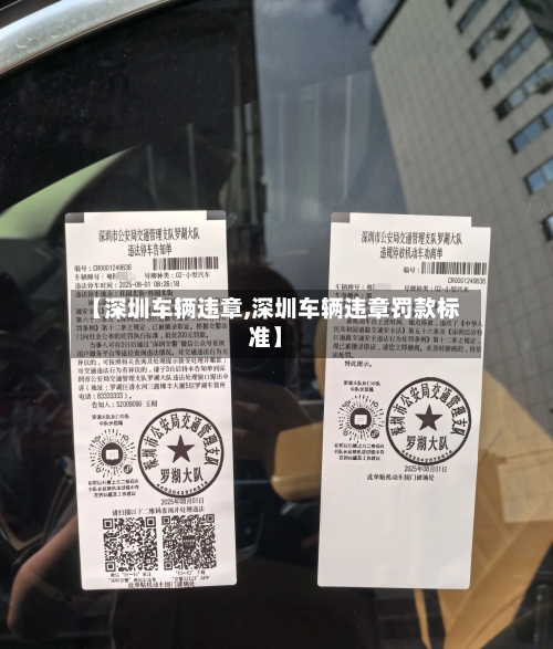 【深圳车辆违章,深圳车辆违章罚款标准】-第3张图片