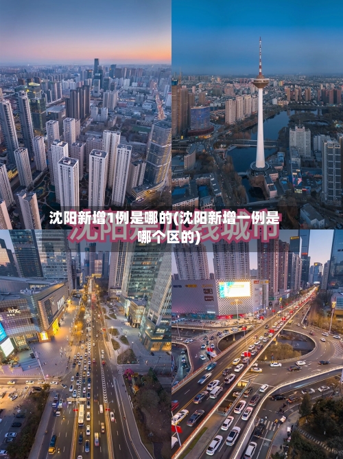 沈阳新增1例是哪的(沈阳新增一例是哪个区的)-第2张图片