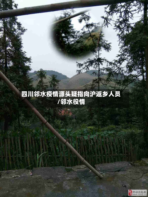 四川邻水疫情源头疑指向沪返乡人员/邻水役情-第2张图片