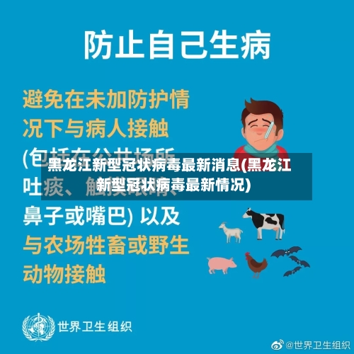 黑龙江新型冠状病毒最新消息(黑龙江新型冠状病毒最新情况)-第2张图片