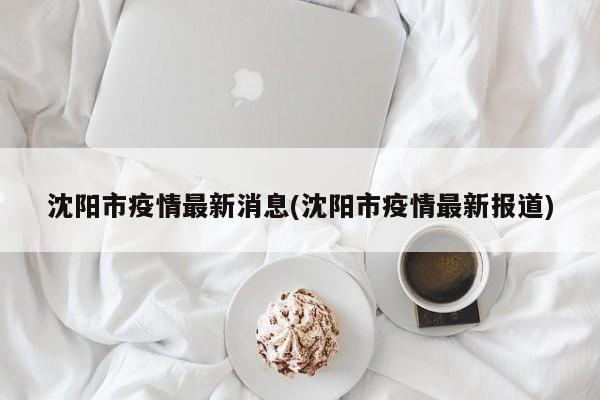 沈阳市疫情最新消息(沈阳市疫情最新报道)